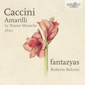 Amarilli