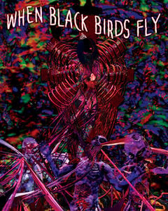 When Black Birds Fly