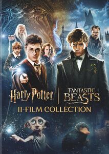 Harry Potter and Fantastic Beasts 11-Film Collection (DVD)