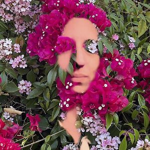 You Are The Flower Music From Hildegard Von Bingen