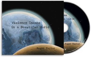 Violence Insane In A Beautiful World