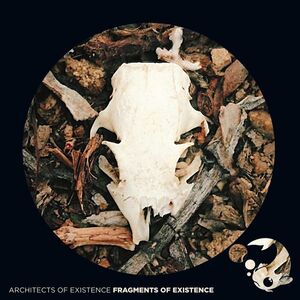 Fragments Of Existence