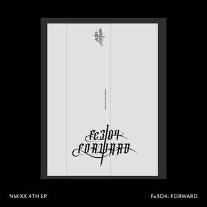 Fe3O4: FORWARD (Go Ver.)