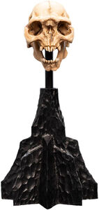 WETA Workshop Polystone - The Lord of the Rings Trilogy - Skull of a Moria Orc Polystone Statue