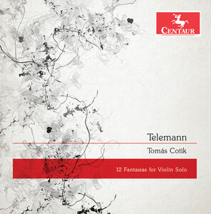 12 Fantasias for Violin