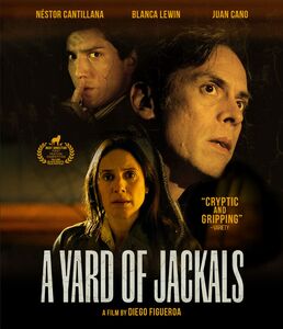 A Yard of Jackals