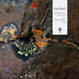 Natthall