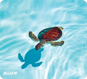 Allsop 31425 Naturesmart Mouse Pad - Turtle