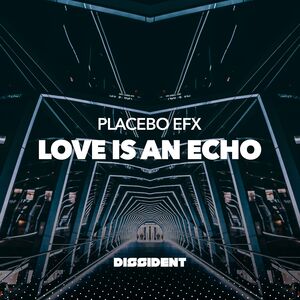 Love Is An Echo