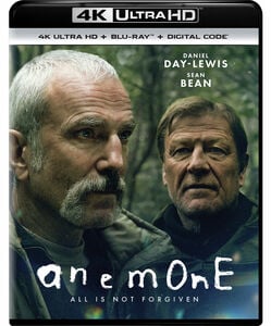 Anemone