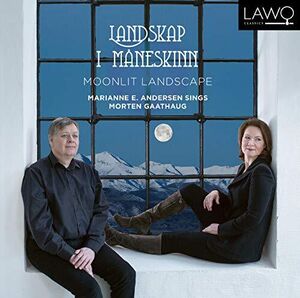 Moonlit Landskape