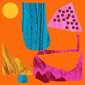 Mr Bongo Record Club Vol.8 (Various Artists)