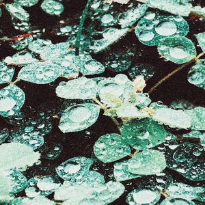 Rain Chamber