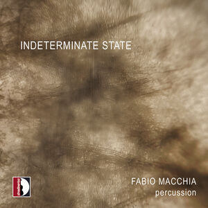 Indeterminate State - Fabio Macchia