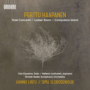 Flute Concerto