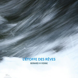 Bernard de Vienne: L'etoffe des reves