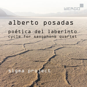 Poetica Del Laberinto