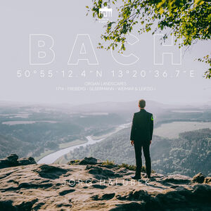 50 55' 12.4 N 13 20 36.7 E - Organ Landscapes
