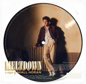 Meltdown - Picture Disc