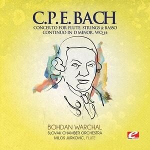 Concerto for Flute Strings & Basso