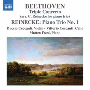 Triple Concerto