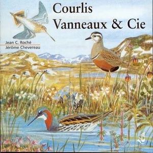 Curlews, Lapwings & Company