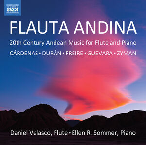 Flauta Andina