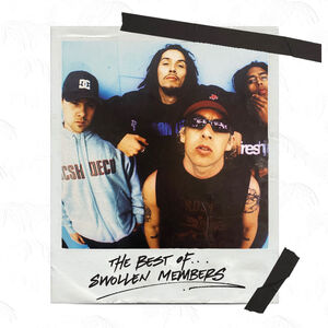 The Best Of Swollen Members