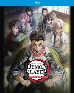 Demon Slayer: Kimetsu no Yaiba: Hashira Training Arc