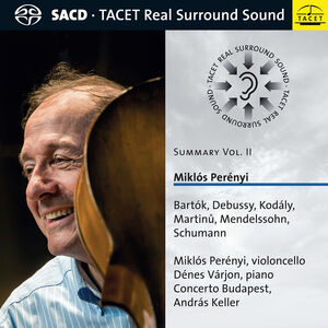 Summary - Miklos Perenyi 2
