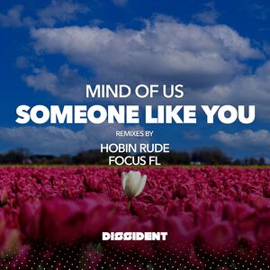 Someone Like You (Streaming Version)