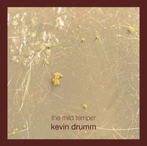The Mild Temper