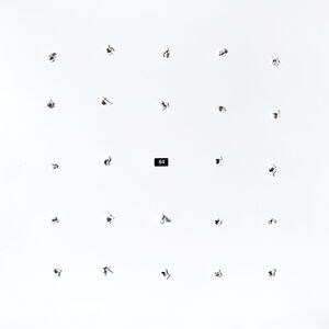 Split Series #24