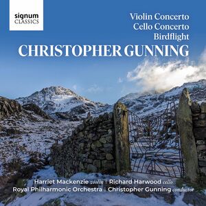 Violin Concerto