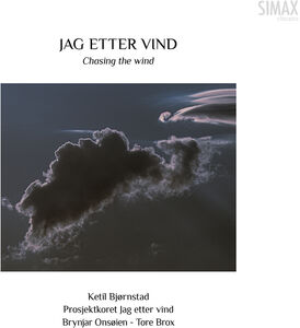Bjornstad: Chasing the Wind