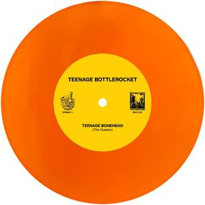 Teenage Bottlerocket & The Queers