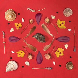 Grouse Head Talisman