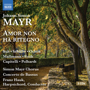 Mayr: Amor non ha ritegno