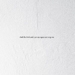 And the Bird Said: Cut Me Open and Sing Me