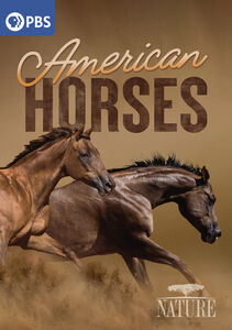 NATURE: American Horses
