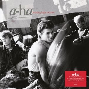 Hunting High And Low (6LP vinyl box set)