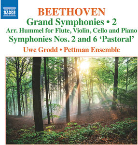 Grand Symphonies Vol 2 - Nos 2 & 6