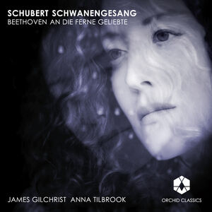 Schwanengesang / An Die Ferne Geliebte