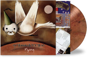 Flying - Dusk
