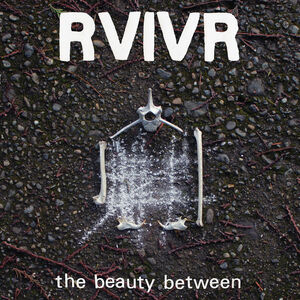 The Beauty Between - Black/Clear Vinyl