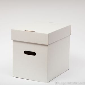 Bags Unlimited XLP65 12 Inch LP Record Cardboard Storage Box with Lids 5 Pack (White)