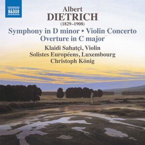 Violin Concerto Symphony in D Minor