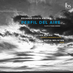 Perfil Del Aire