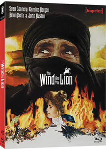 The Wind and the Lion
