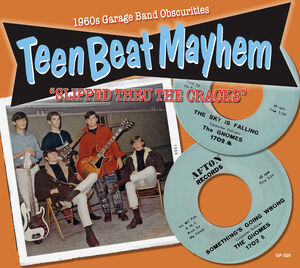 Teenbeat Mayhem -Slipped Through the Cracks (Various Artists)
